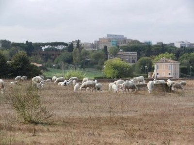 En bordure de la via Appia, chère aux Romains